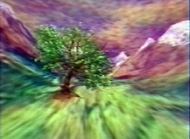 Gingobiloba_v.jpg